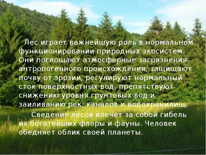 Лес важнейший природный ресурс. Важная роль лесов. Важности лесов для очистки. Важность лесов для очистки речных вод.