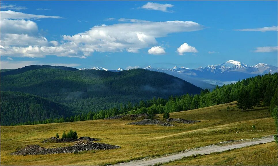 Пазырыкские Курганы горный Алтай. Пазырыкские Курганы и Балыктуюль. Пазырыкские Курганы на Алтае. Урочище Пазырык Алтай горный.