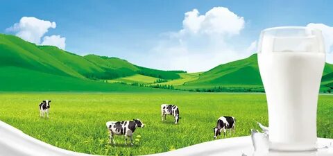 Milk farm