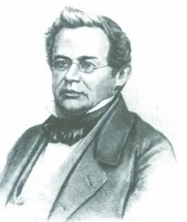 Якова ленца