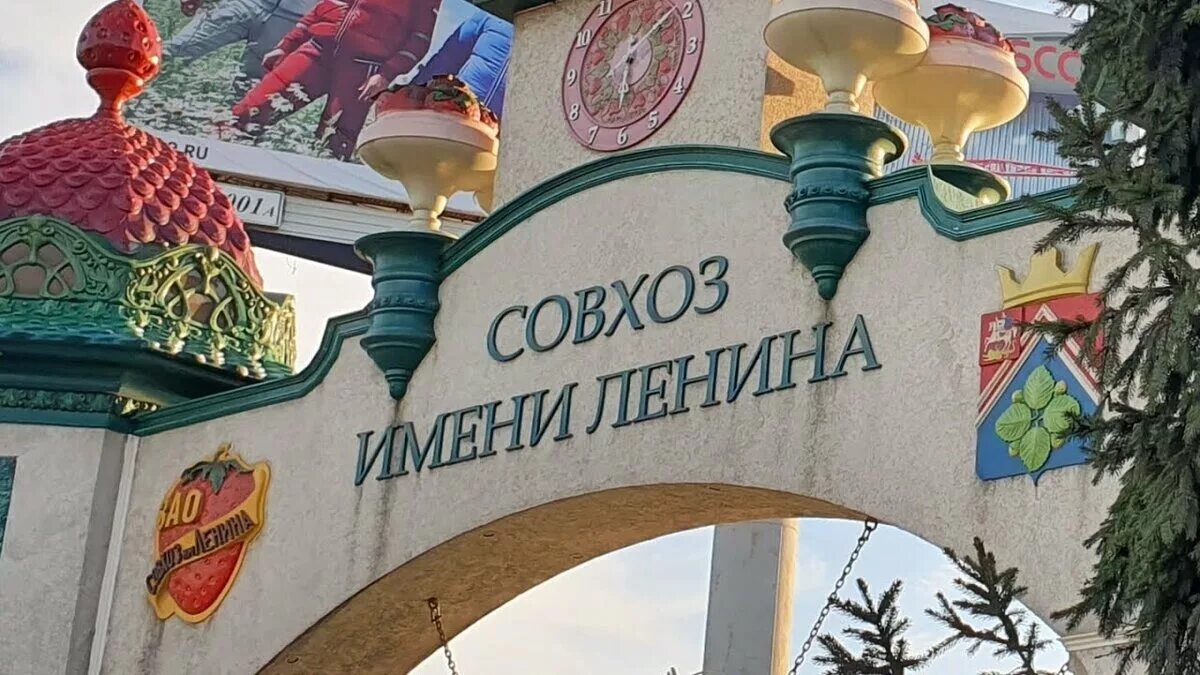 Совхоз имени ленина, посёлок совхоза имени ленина, 19а. Колхоз ленина номера телефонов. Колхоз ленина номера телефонов. Колхоз ленина номера телефонов. Колхоз ленина номера телефонов.