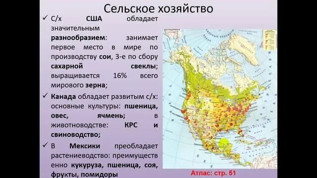 Население северной америки кратко география. Хозяйство северной америки. северная америка мировое хозяйство. население и хозяйство северной америки. хозяйство северной америки кратко.