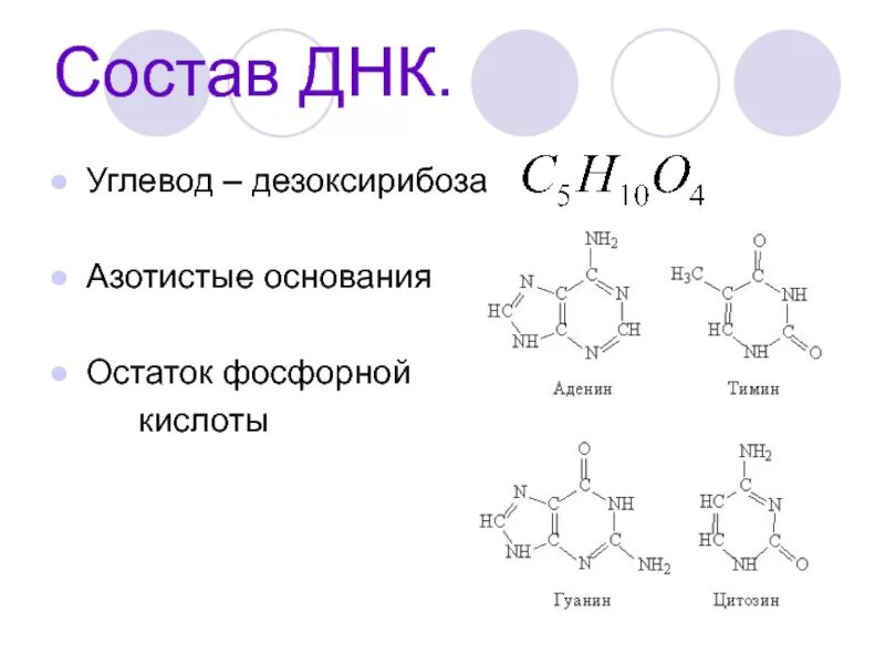 Какие углеводы днк