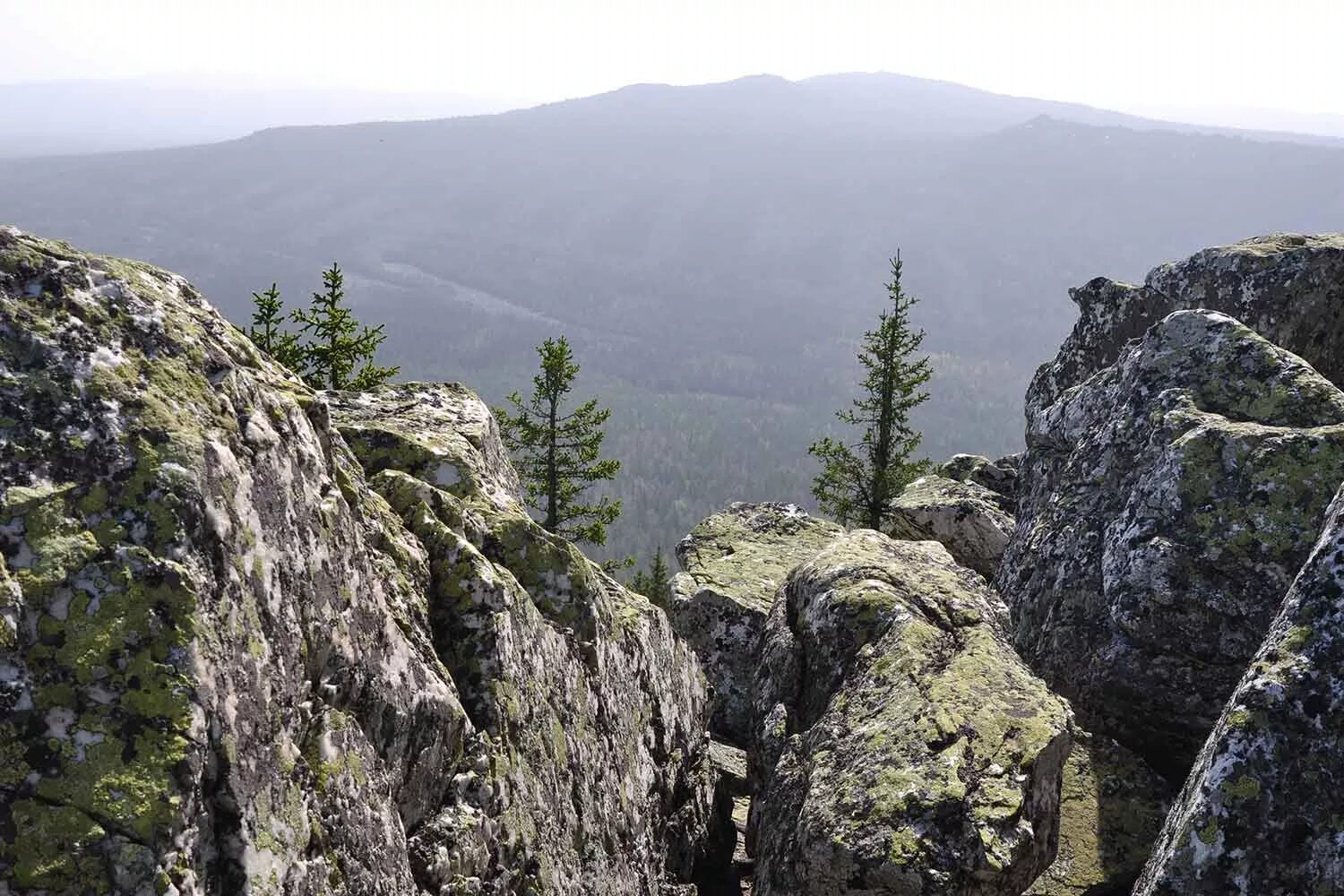 пинега скалы. кемеровская область горная шория дворцы. красноярские столбы мамонт. горная шория спасские дворцы. скалы в тайге.