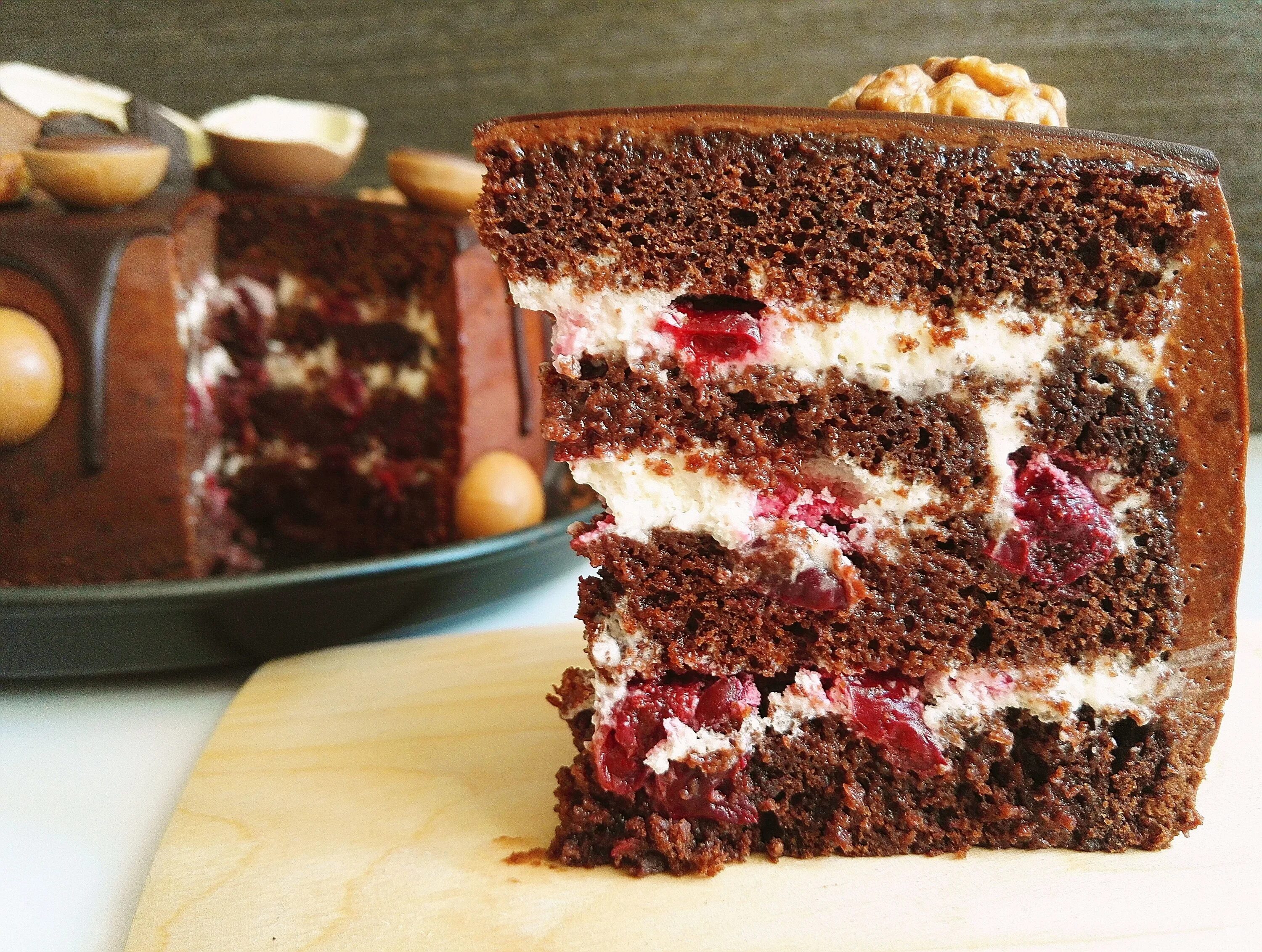 торт "чёрный лес" (black forest cake). торт "чёрный лес" (black forest cake). торт шварцвальдский лес. швардсвальский вишневый торт «черный лес». торт с лесной тематикой.
