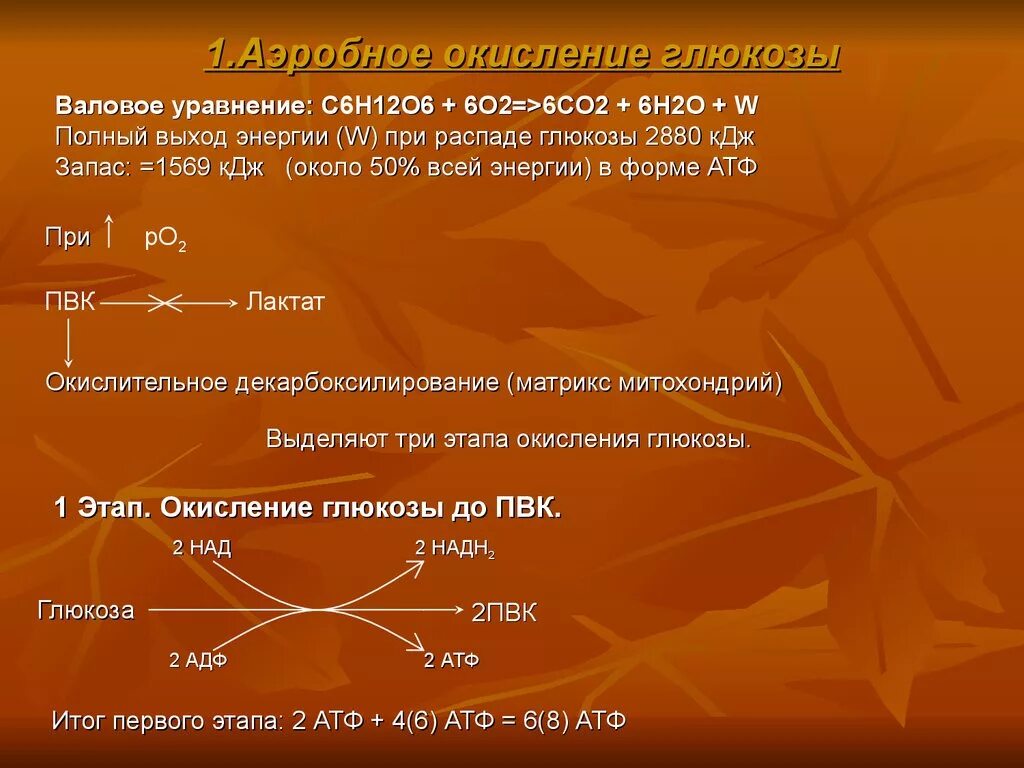 Энергетический выход полного аэробного окисления Глюкозы. Второй этап аэробного окисления Глюкозы. Первый этап аэробного окисления Глюкозы. Уравнение аэробного окисления Глюкозы.