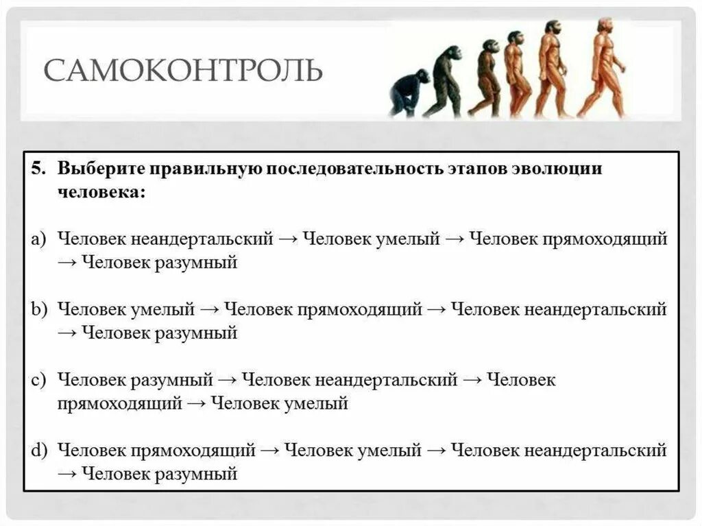 Верная последовательность этапов антропогенеза. Этапы происхождения человека схема. Происхождение человека стадии эволюции человека. Цепочка эволюционного развития человека. Эволюционное происхождение человека 9 класс биология.