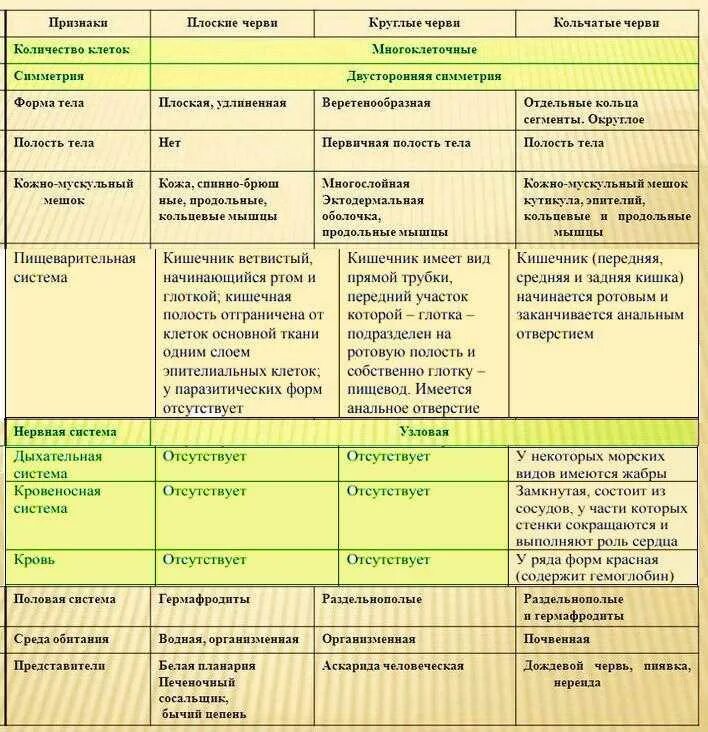 Дать характеристику кольчатым червям. Сравнение плоских круглых и кольчатых червей таблица. Сравнительная характеристика плоских червей таблица 7 класс. Биология 7 класс таблица плоские черви круглые черви кольчатые черви. Плоские круглые и кольчатые черви таблица.