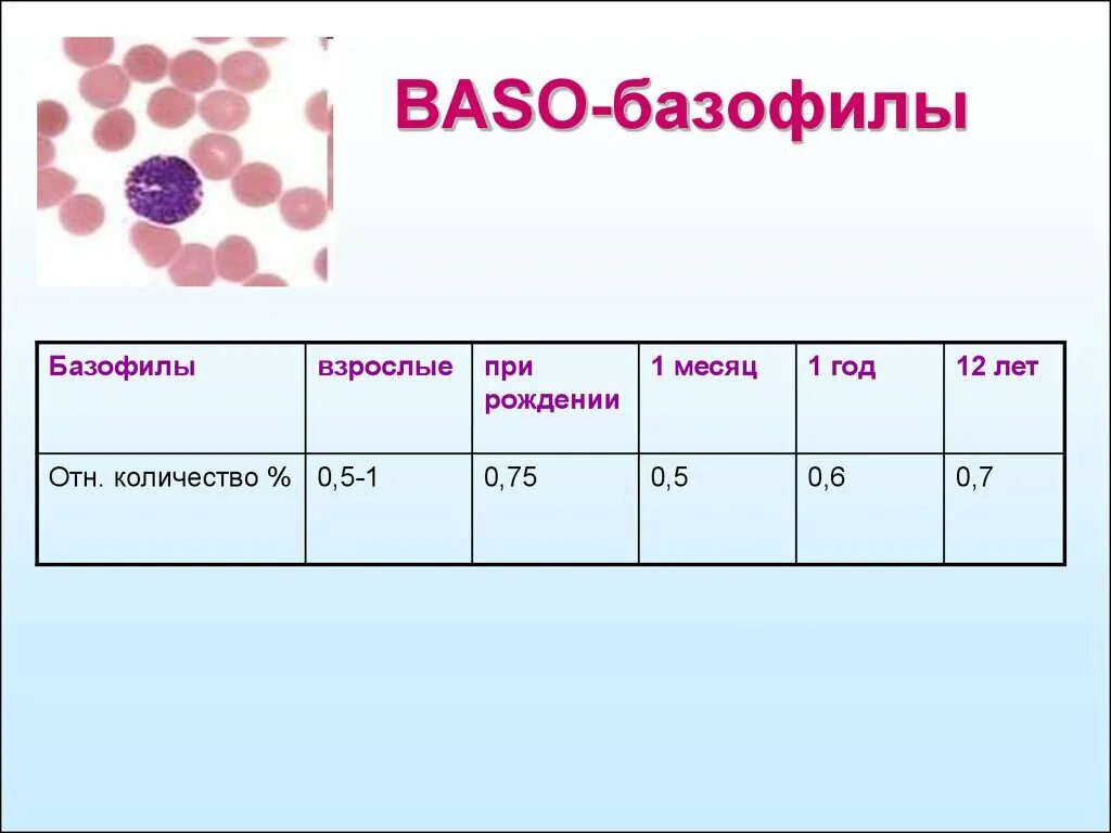 Лейкоциты в 1 мм3 крови. Базофилы 1.4. Базофилы норма. Базофилы (Baso). Норма базофилов в крови у мужчин.