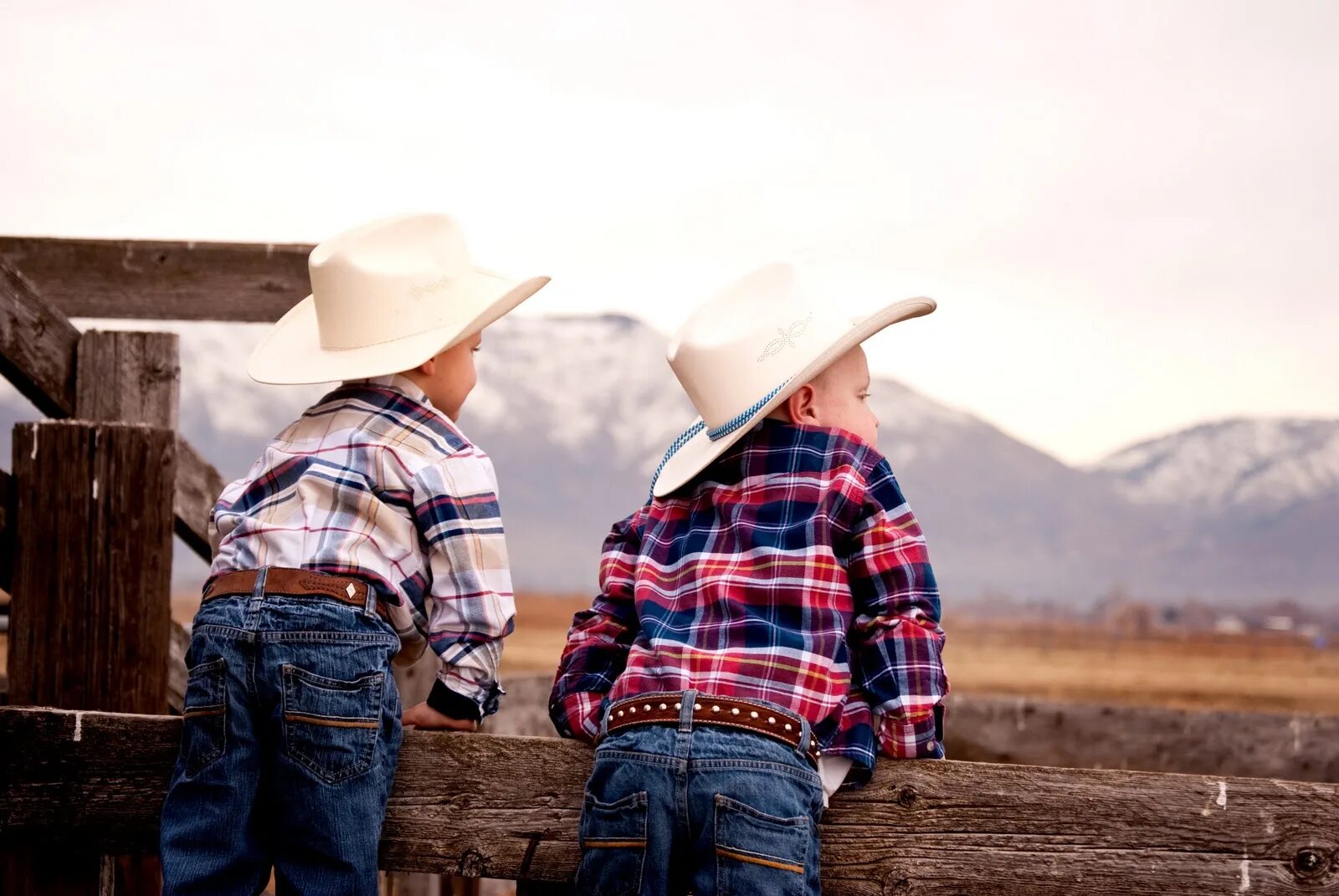 Little cowboy ready to go. Ковбой Lil. Head boy in Cowboy hat back.