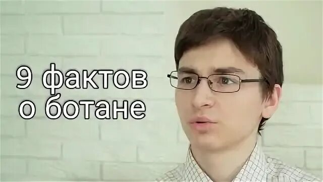 9 фактов