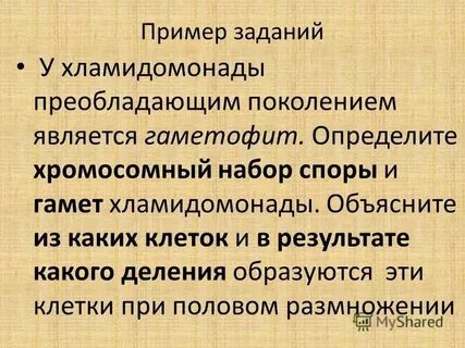 Они разделены на соответствующие