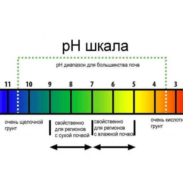 Шкала рн водных растворов. Рн питьевой воды нормы. Шкала кислотности ph воды. Ph питьевой воды норма для человека. Шкала кислотности ph воды.