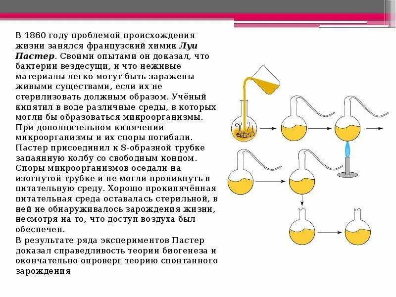 Какие опыты показали невозможность самозарождения. Опыт Луи Пастера. Луи Пастер гипотеза. Гипотеза самозарождения Луи Пастер. Луи Пастер опыт самозарождения.