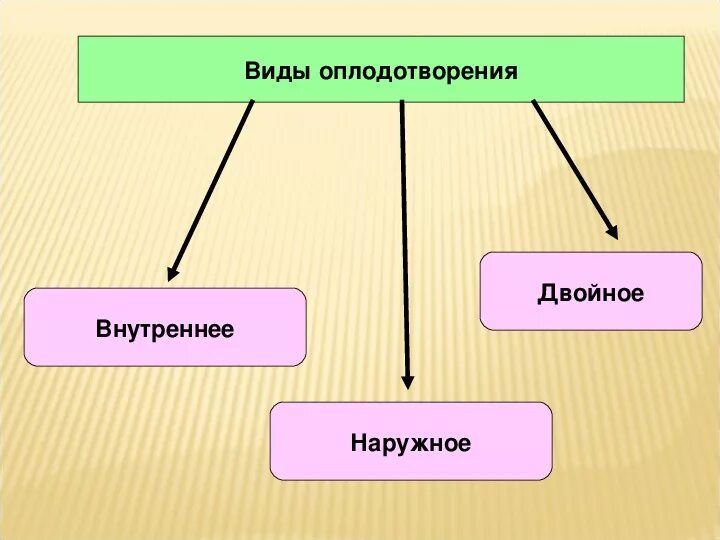 Выберите типы оплодотворения. Типы оплодотворения внешнее и внутреннее. Внешнее и внутреннее оплодотворение схема. Схема типы оплодотворения. Типы оплодотворения схема 10 класс.