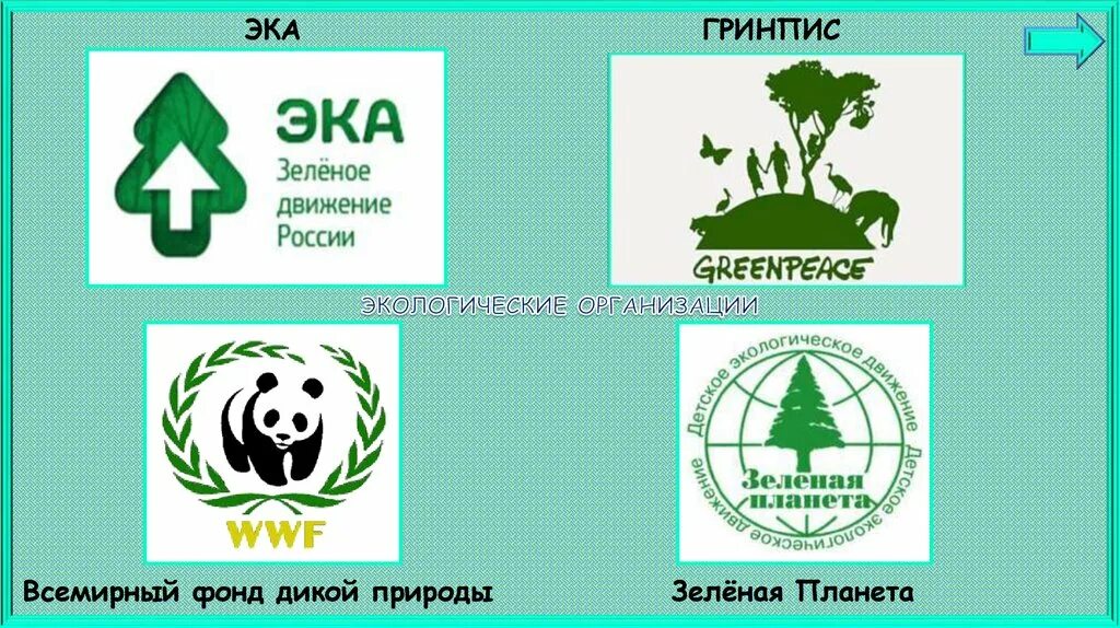 Greenpeace organization