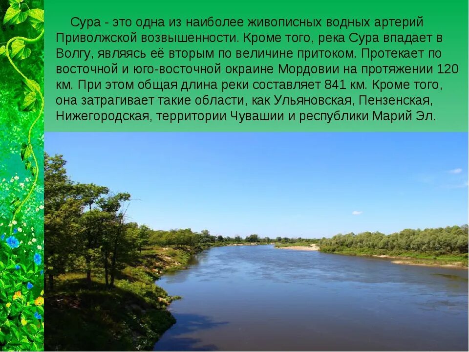 Водные объекты мордовии. Мордовский заповедник водные ресурсы. Заповедник смидовича мордовия. Заповедник смидовича мордовия растения. Водные объекты республики мордовия рисунок.