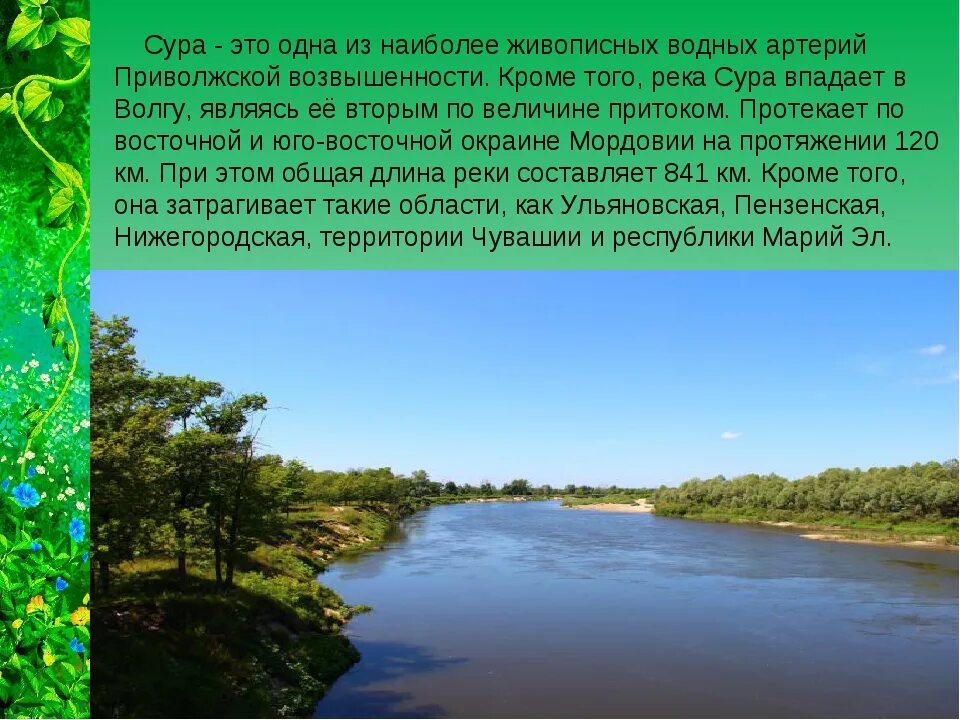 Откуда берет начало река сура. Сообщение о реке Сура. Водные объекты Мордовского края. Река Сура Устье. Реки Мордовии названия.