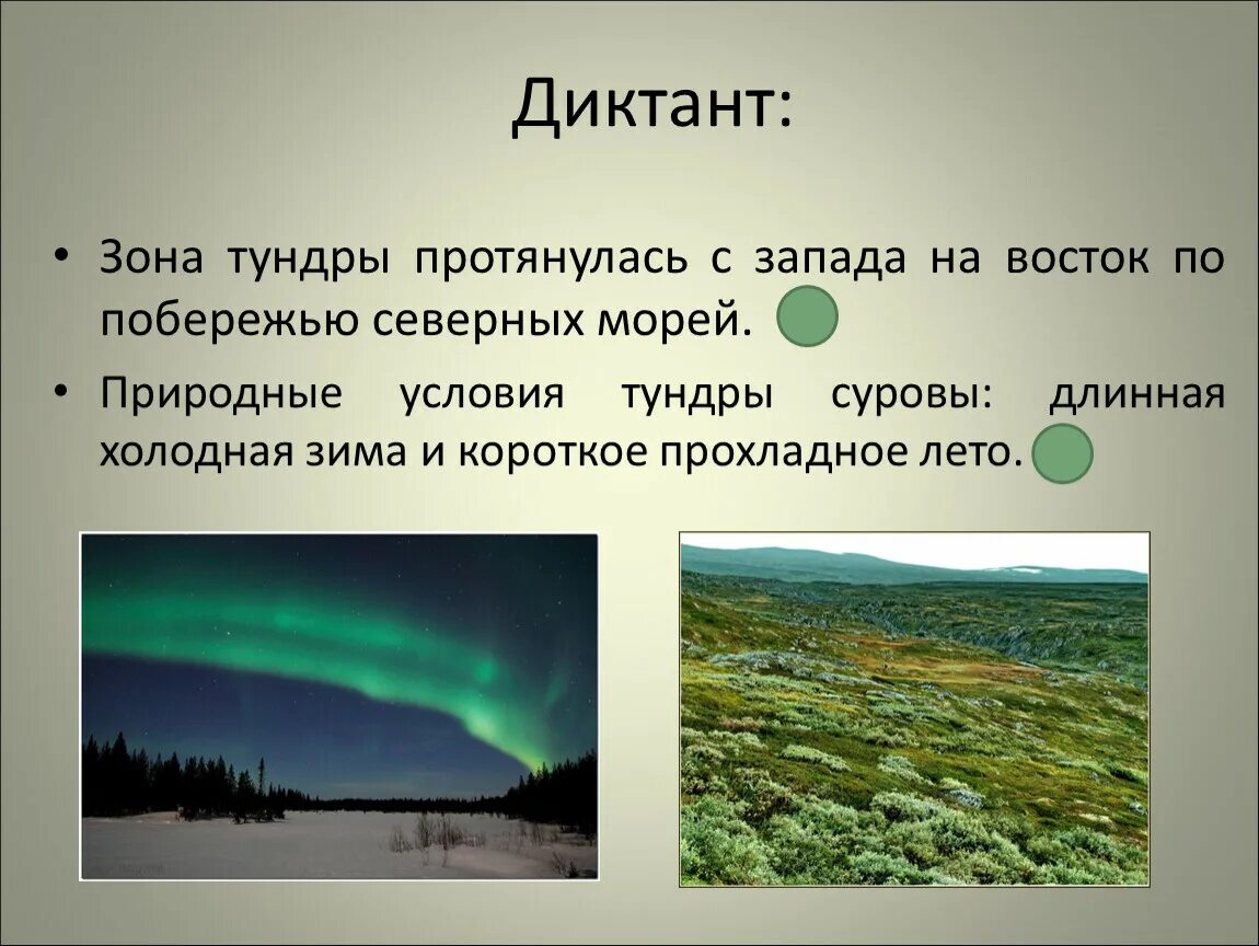 Условия тундры кратко. Зона тундры протянулась. Условия тундры. Климат тундры. Климатические условия тундры.