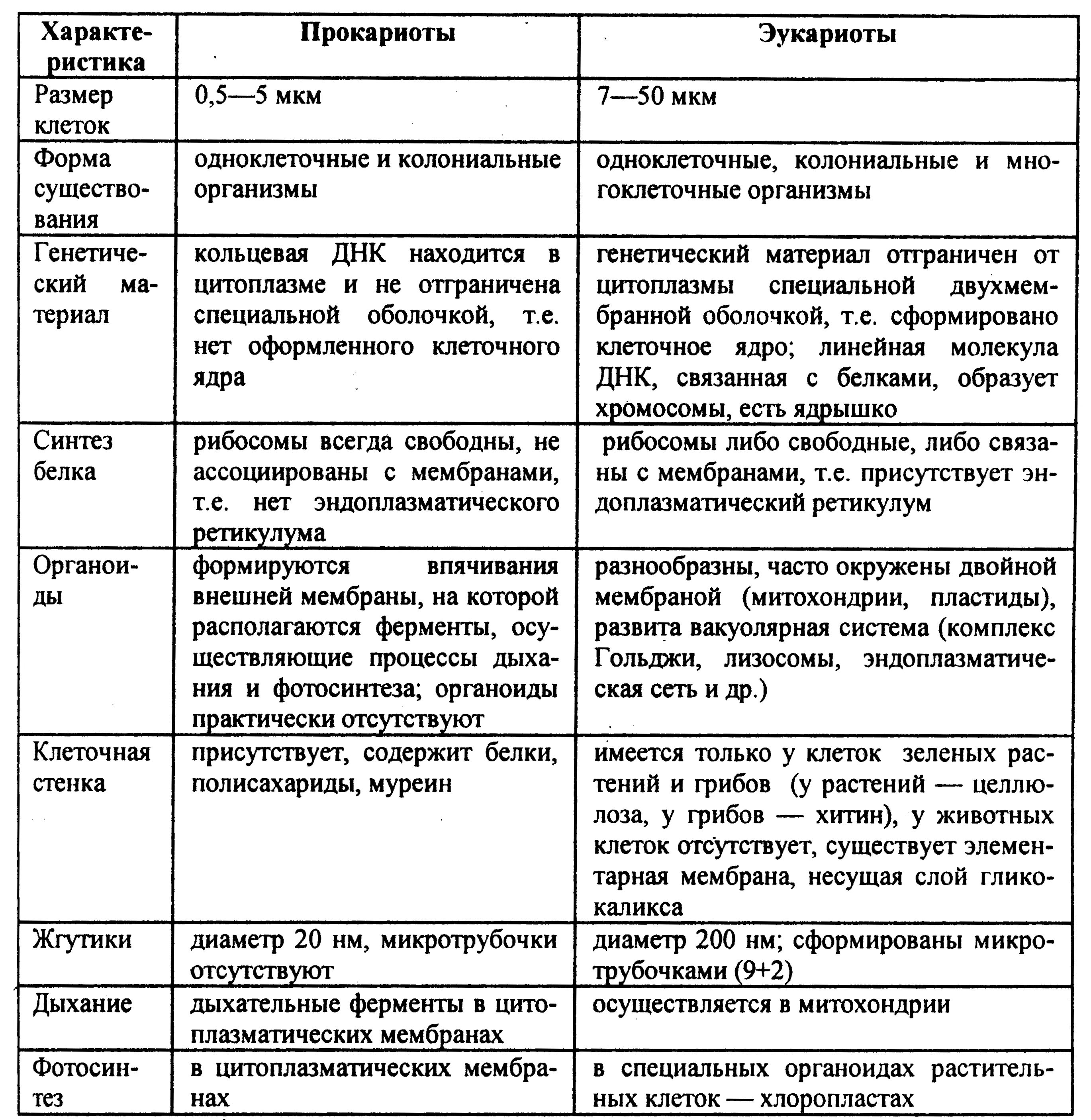 Основные отличия клетки эукариот и прокариот таблица. Отличия прокариот и эукариот таблица. Характеристика прокариот и эукариот таблица. Строение прокариот и эукариот таблица. Организации эукариотической клетки