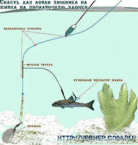 Ловля на живца на поплавочную. Снасть на спиннинг для ловли хищника с берега. Снасть для ловли щуки на живца с поплавком с берега. Удочка на щуку на живца оснастка поплавочная. Удочка для ловли хищника на живца.