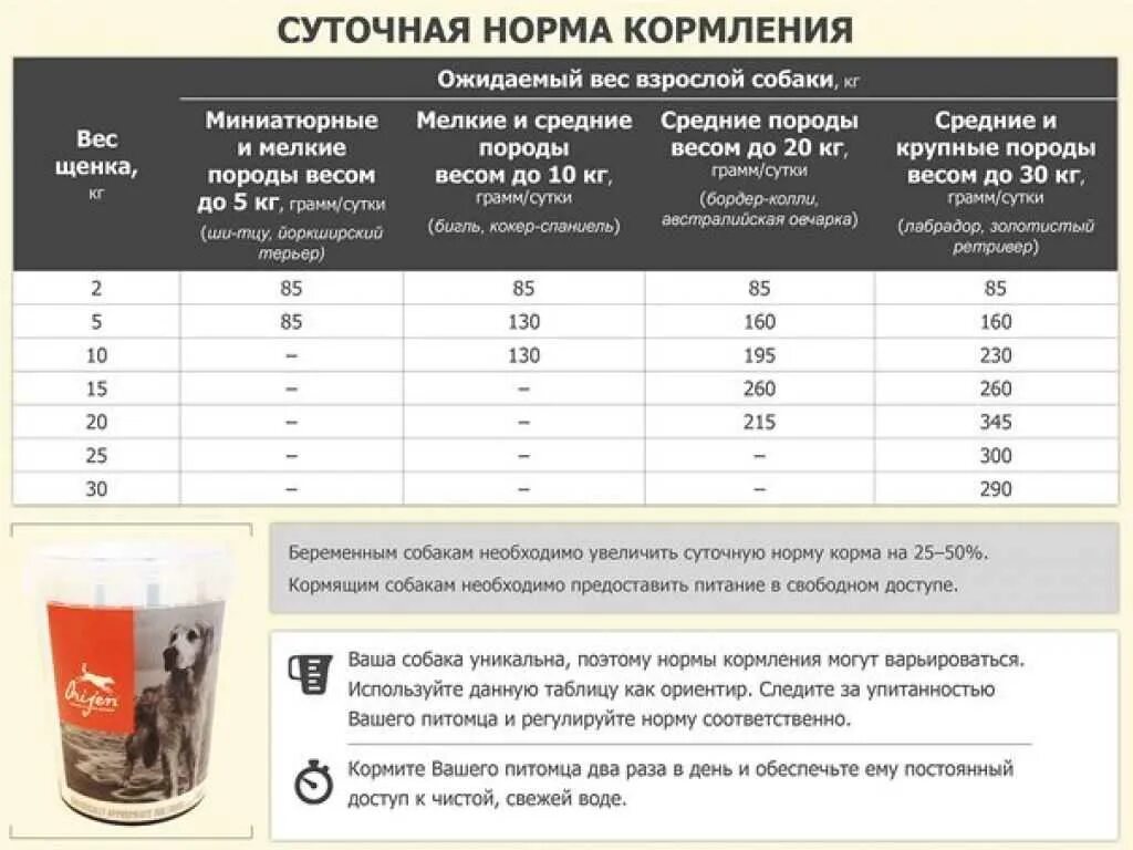 Суточная норма корма для щенков мелких пород. Суточная норма корма для собак мелких пород таблица. Нормы влажного корма для собак мелких пород. Сухой корм для собак таблица нормы.