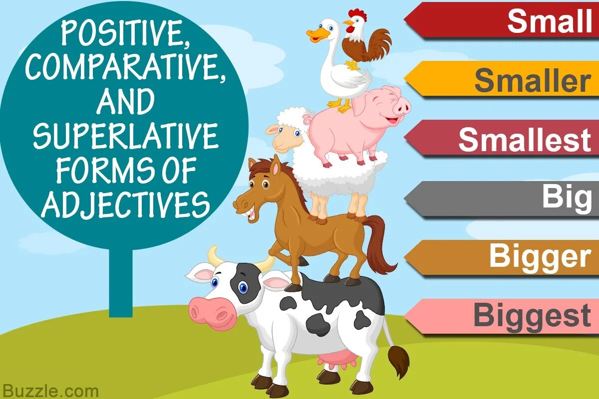 Compare animals. Comparative and Superlative adjectives. Degrees of Comparison. Comparative and Superlative adjectives картинки. Degrees of Comparison of adjectives картинки.