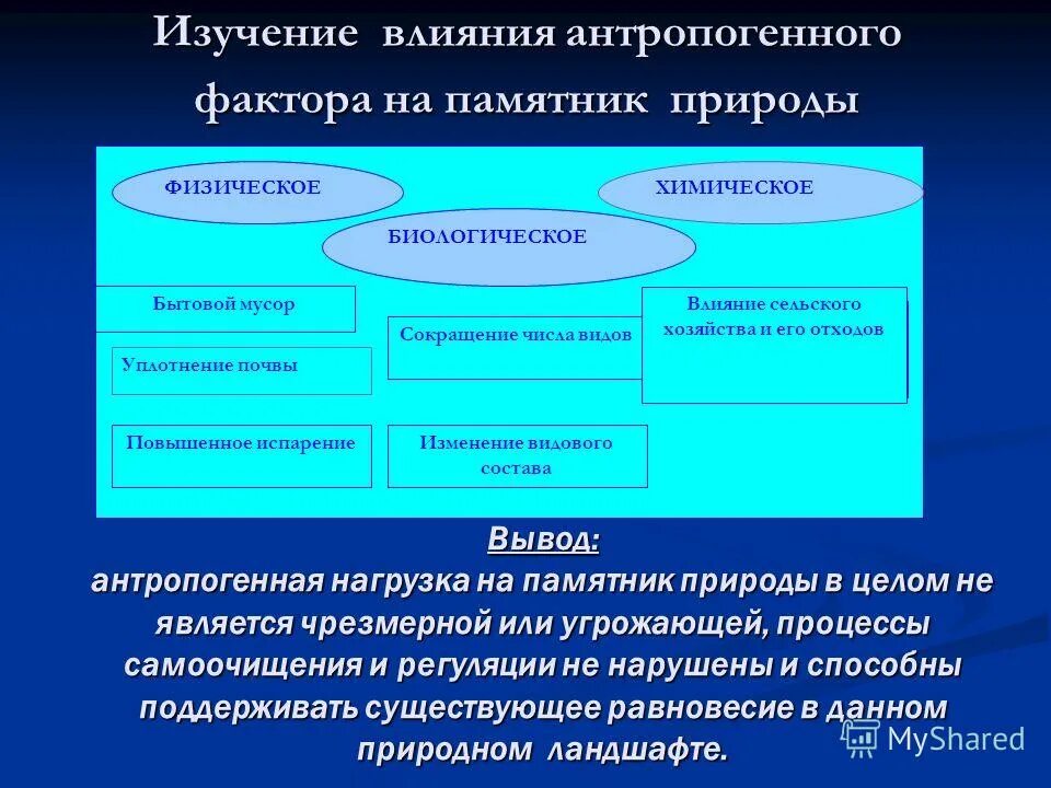 минерализация почвы. китайские ученые изучали влияние видового состава пустынной. китайские учёные изучали влияние видового состава пустынной. китайские ученые изучали влияние видового состава пустынной. процесс сукцессии.
