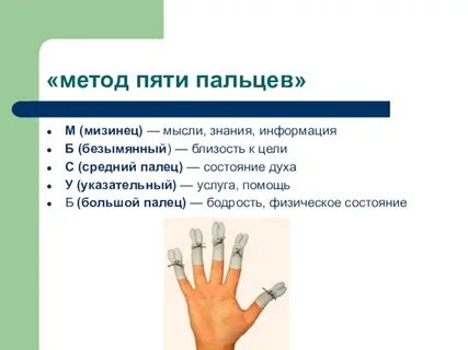 Система 5 пальцев