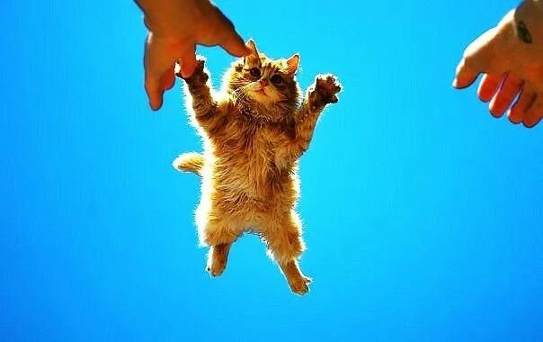 надпись лисичка. лови меня каждый. акции и скидки. лови меня. девушка под дождем.