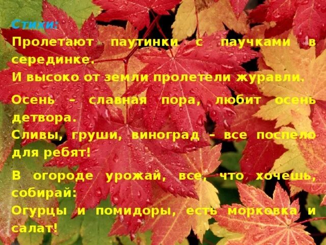 Пролетают паутинки с паучками в серединке. Утром мы во двор идём листья сыплются дождём стихотворение. Осень паутина. Стих пролетают паутинки. Трутнева "утром мы во двор идём".
