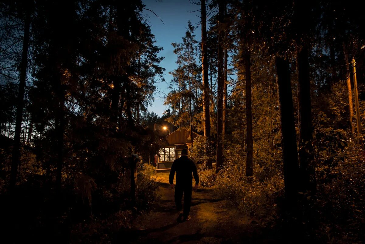 Valheim игра 2021. Играть выход из лесу. Играть выход из лесу. Играть выход из лесу. Вышел из леса.