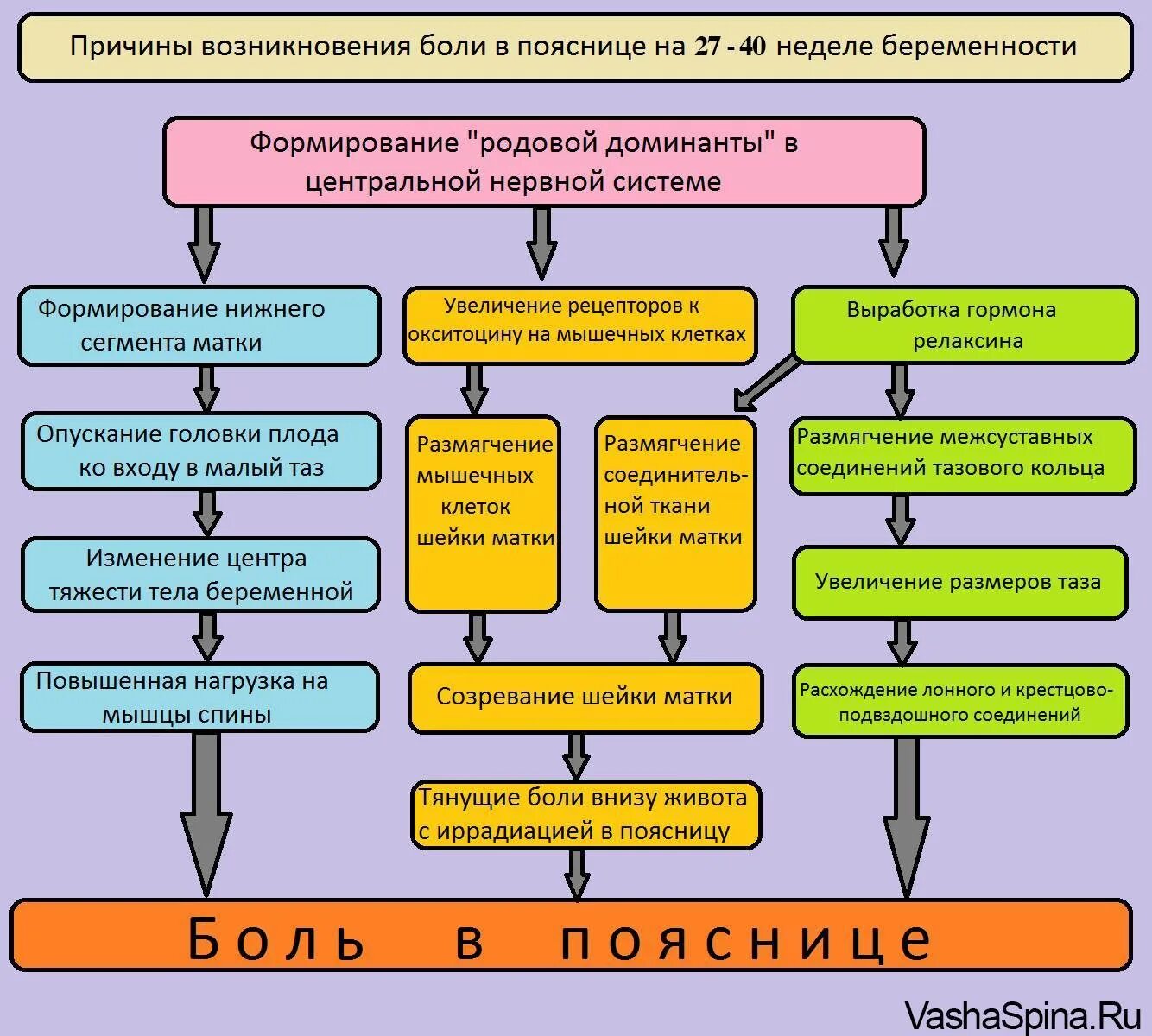 Тянет низ живота 33