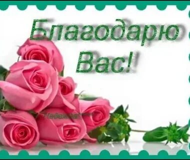 Спасибо что нашли время