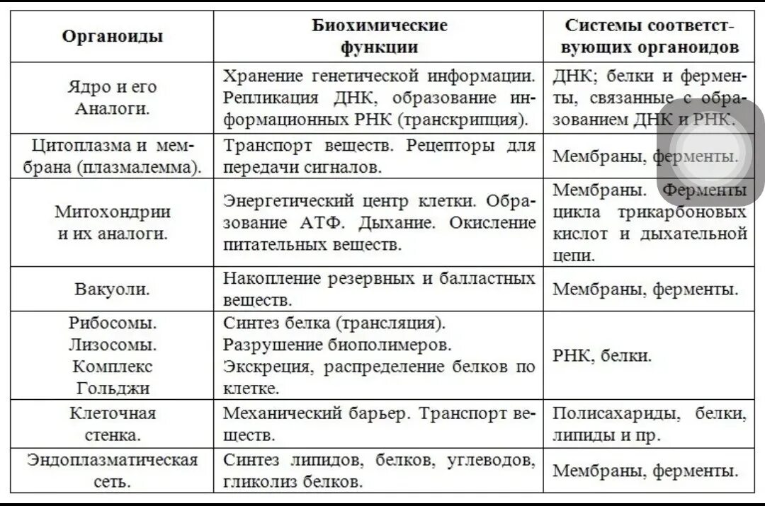 Строение и функции органоидов эукариотической клетки таблица. Строение эукариотической клетки таблица органоид строение функции. Таблица эукариотическая клетка строение и функции органоидов. Клеточные органоиды их строение и функции таблица.