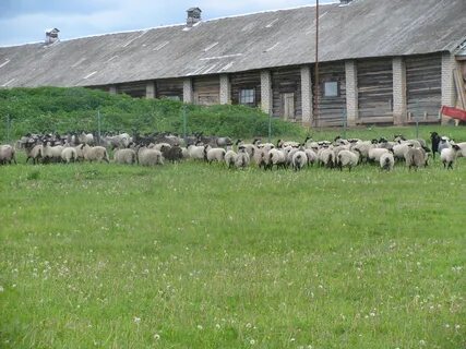 Продам бывшую ферму