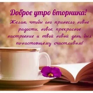 Во вторник утром к открытию