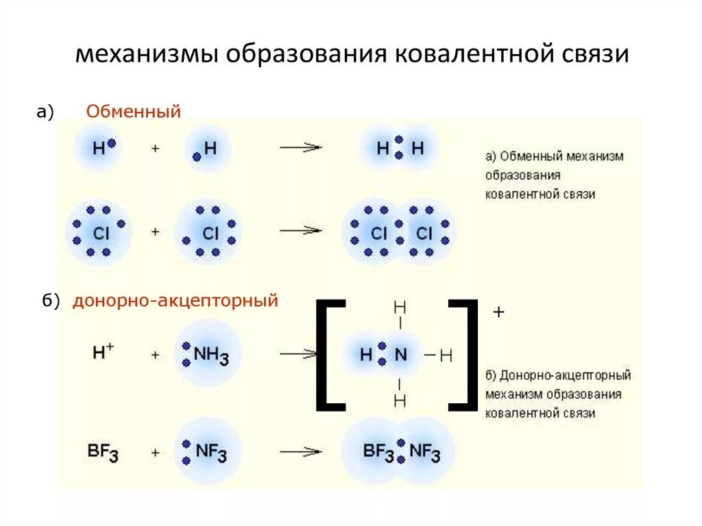 Фтор схема образования связи. Донорно-акцепторный механизм образования ковалентной связи. Обменный механизм образования ковалентной связи. Схема образования ковалентной связи. Обменный механизм образования химической связи.