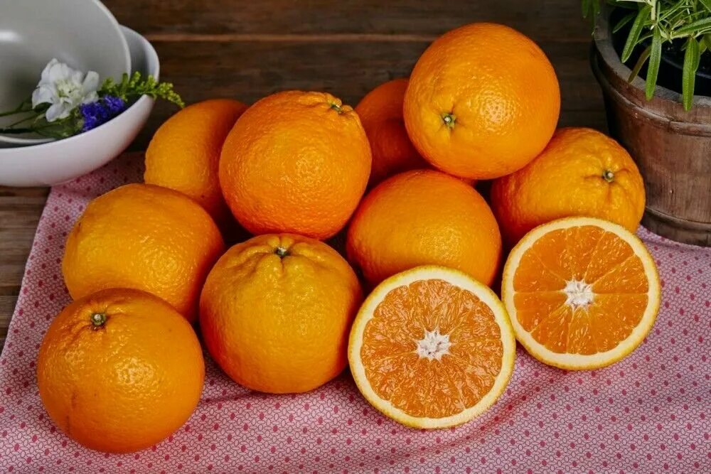 Four oranges. Четыре апельсина. Апельсин для детей. Апельсин для детей. Апельсин на белом фоне.