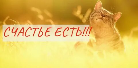 Счастье есть идеал