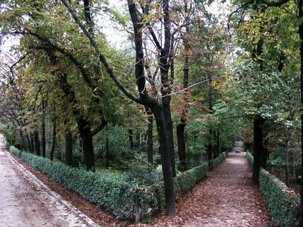 Jardines del