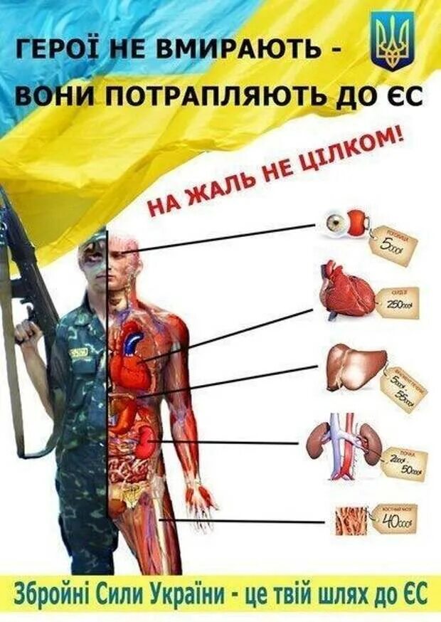 Украинцев продают на органы. Торговля человеческими органами на Украине. Торговля органами рф