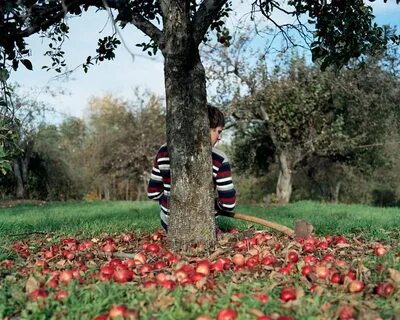 Under the tree
