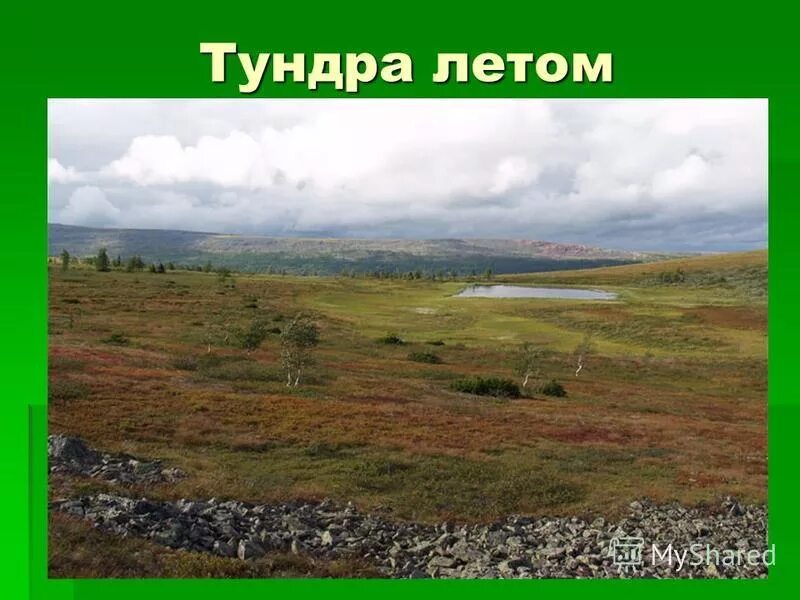 Хозяйственная деятельность тундры в россии. Тундра на карте России. Расположение тундры. Природные зоны России тундра. Местоположение тундры в России.