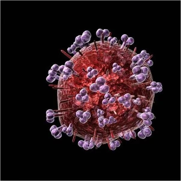 Вирус иммунодефицита человека (Human Immunodeficiency virus). Лентивирусы ВИЧ. Вирус СПИДА вирус иммунодефицита человека ВИЧ визиваюший СПИДСПИД. Вирус иммунодефицита под микроскопом. Human immunodeficiency