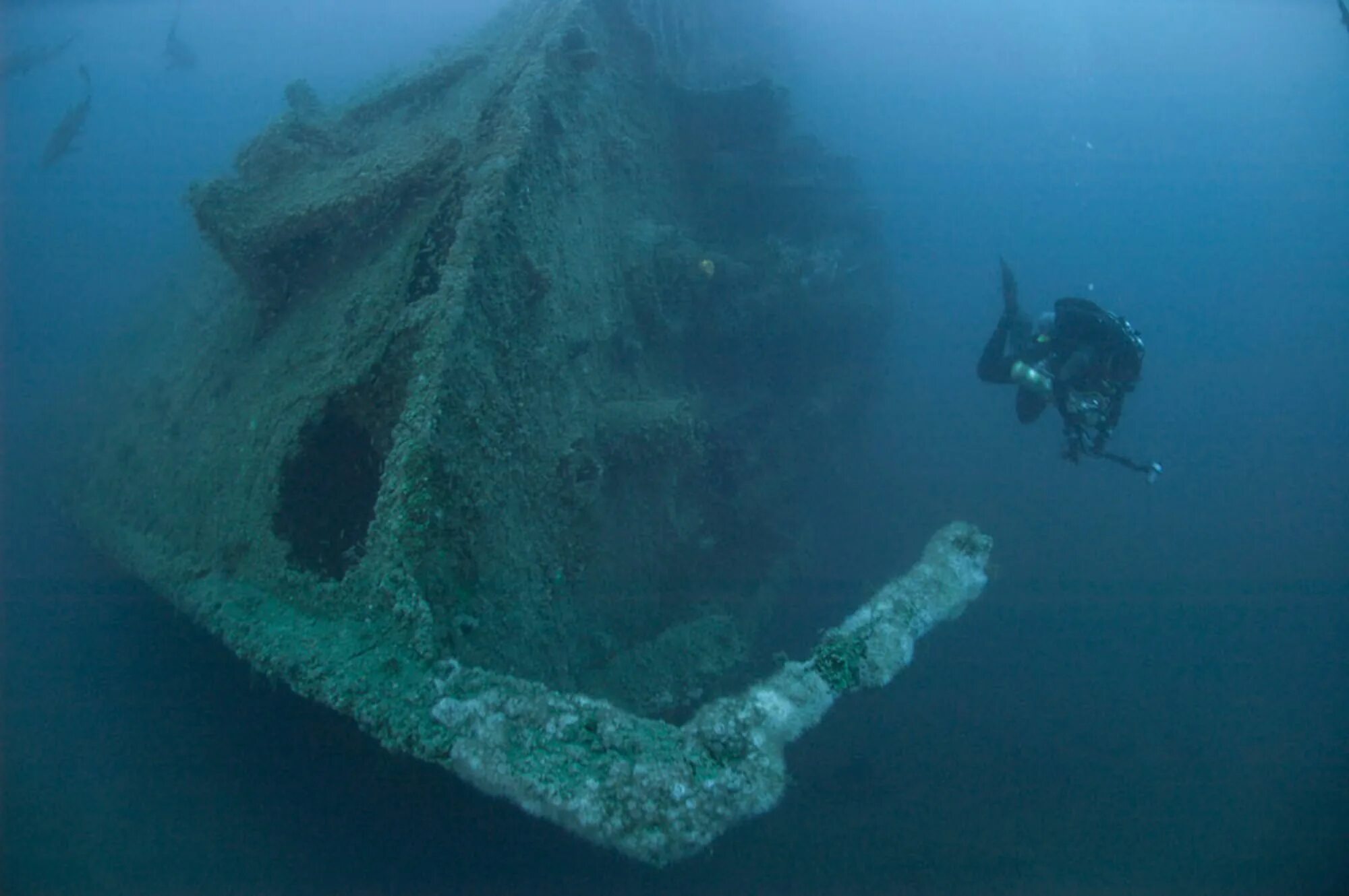 Со дна озера глубиной 20 м. Субмеханофобия. статуя акулы на дне озера. submechanophobia 1960. submechanophobia images.