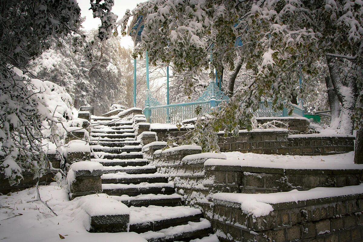 Зимние ступени. Лестница в снегу. Зимний ступеньки. Лестница зимой. Зима ступеньки.