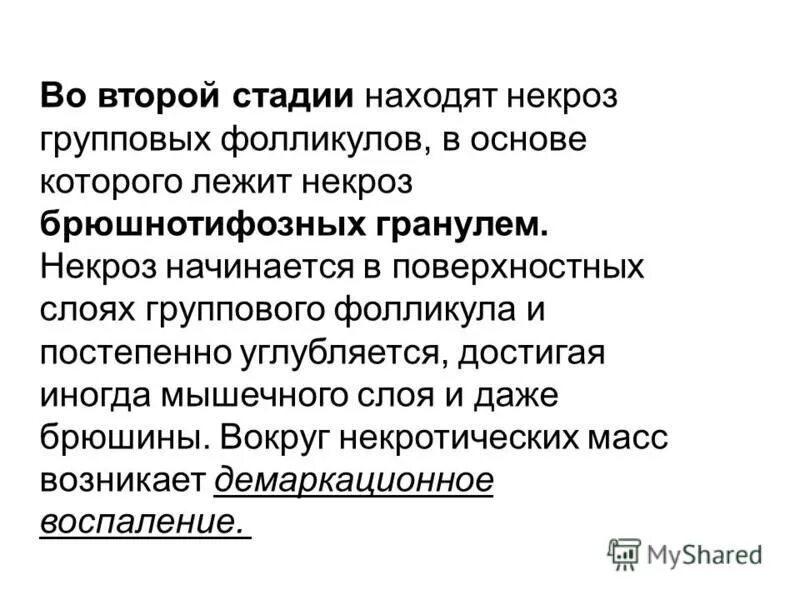 Данный момент находится в стадии. Данный момент находится в стадии