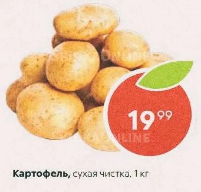 Магазин пятерочка картофель. Картошка в пятерочке. картофель ценник.