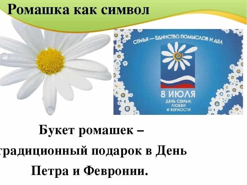 Ромашка символ семьи. Ромашка символ дня семьи любви и верности. Символ праздника Ромашка. День семьи Ромашка символ.